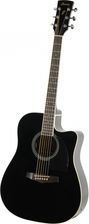 Ibanez PF15ECE BK 28477316 фото